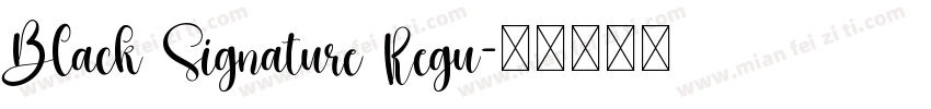 Black Signature Regu字体转换